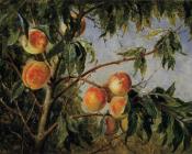 Peaches - 托马斯·沃辛顿·惠特里奇